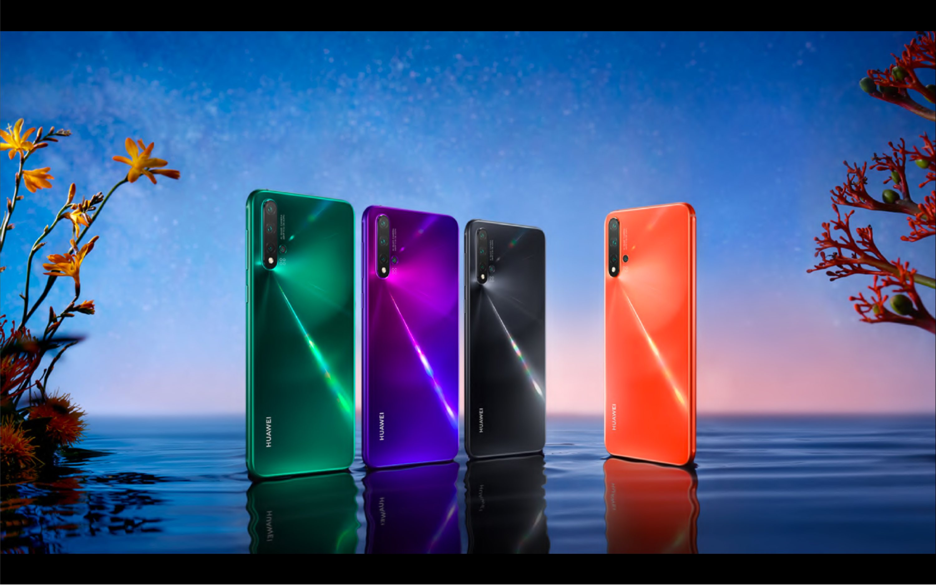 HUAWEI project visual